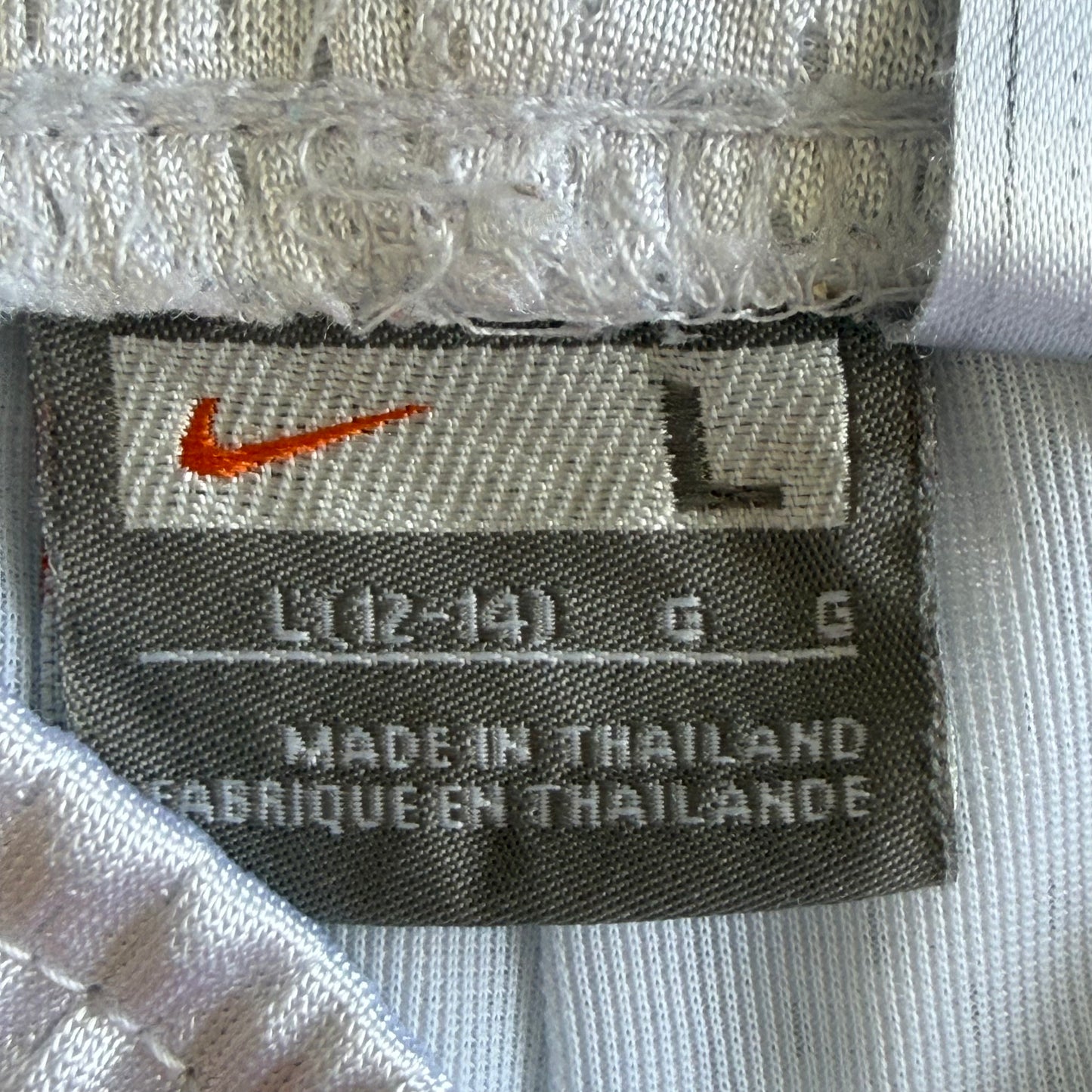 Y2K Nike Striped Lightweight Basketball Shorts - L
