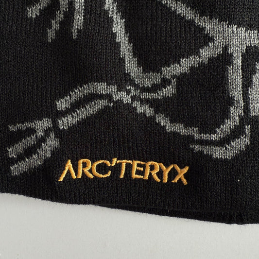 Arcteryx Skull Cap