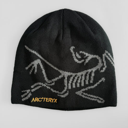 Arcteryx Skull Cap