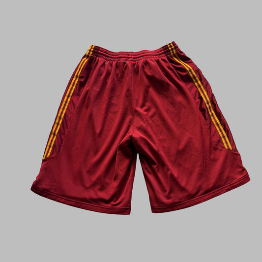90s Nike Team Striped Heavyweight Basketball Shorts - M