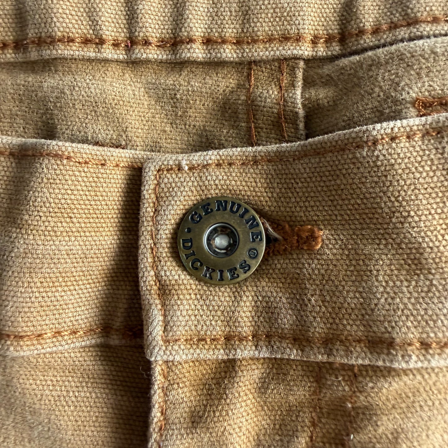 Dickies Shorts - 36"