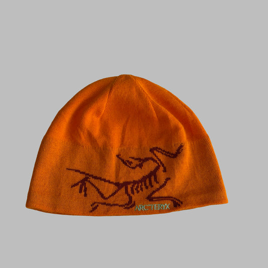 Y2K Arcteryx Toque Beanie