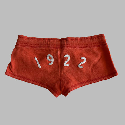 00s Hollister Micro Shorts - Small