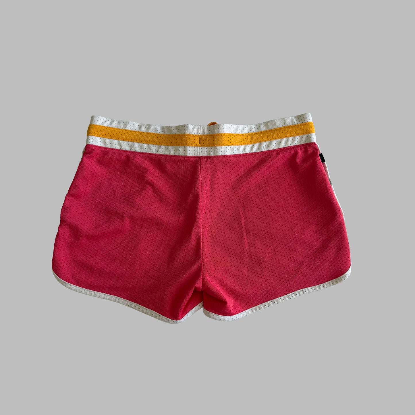Y2K Nike Mesh Dolphin Mini Shorts - S