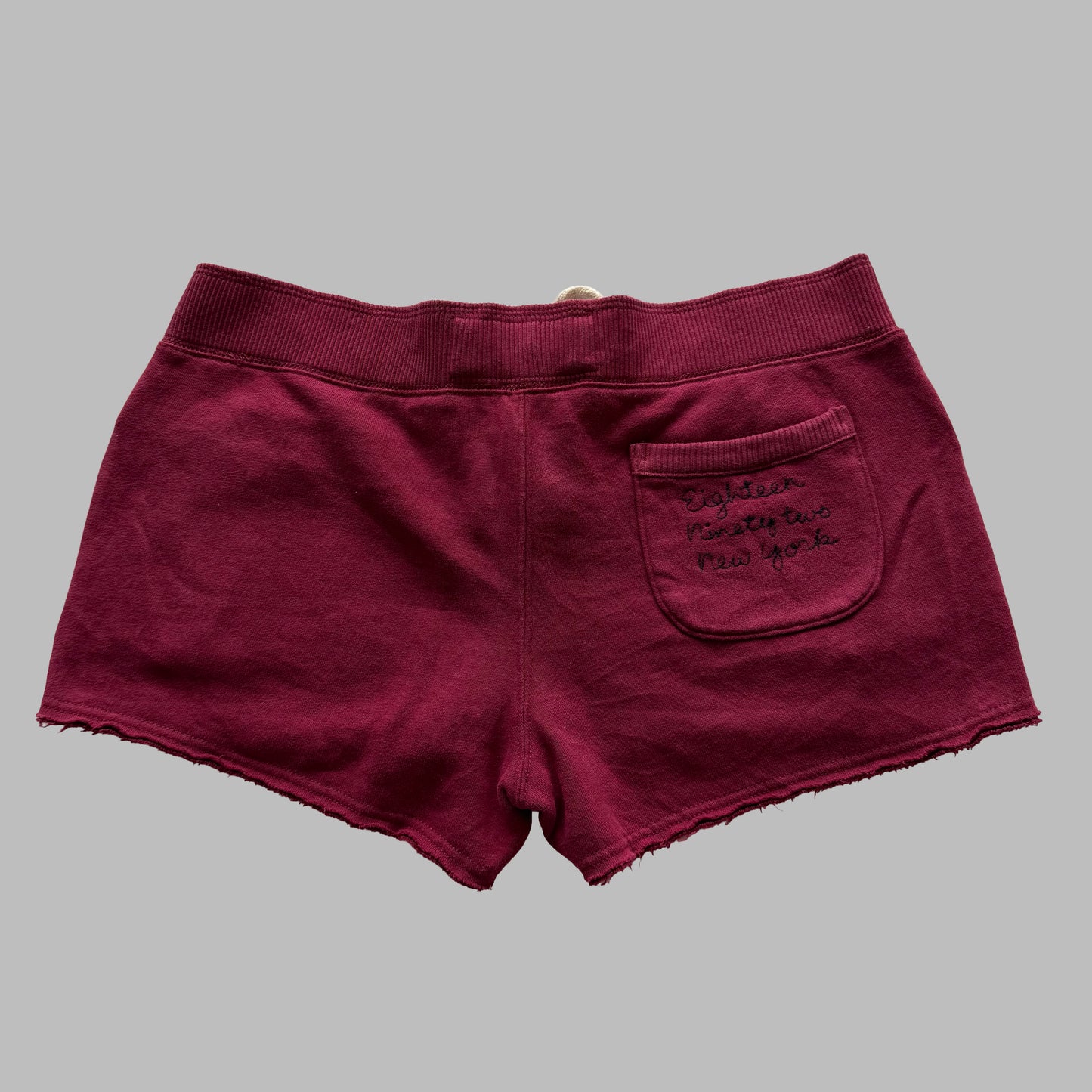 00s Abercrombie and Fitch Micro Shorts - Medium